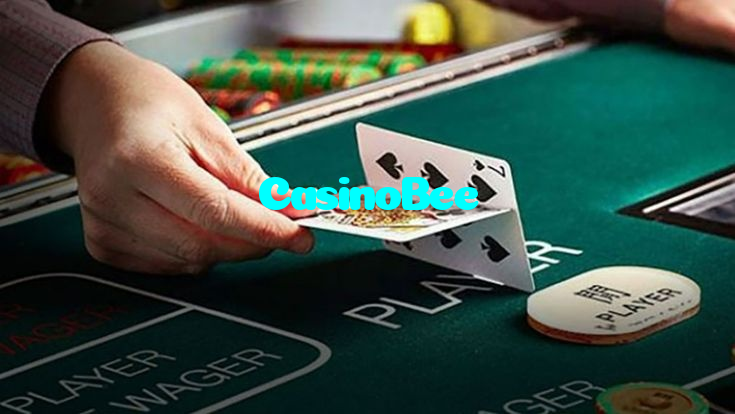 پاکستان میں ڈریگن ٹائیگر رئیل بیٹل میں بیٹنگ اور شفاف جیتنے والے اوڈز